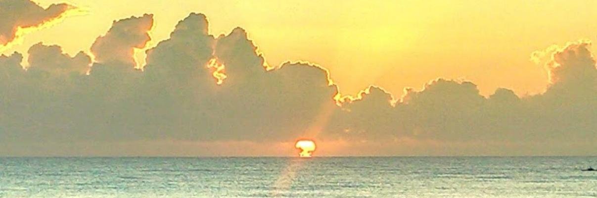 PBFreePress's profile banner image
