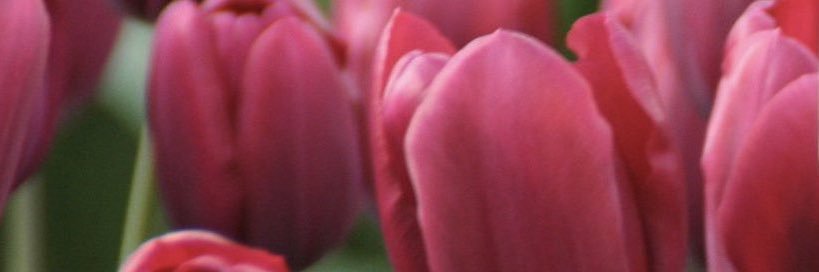 佐々木 恵里奈 banner