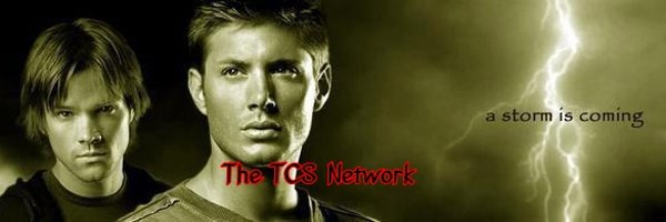 The TCS Network Profile Banner