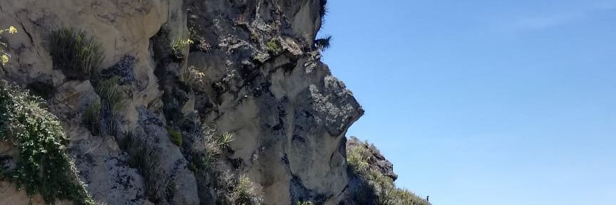 cuquimendieta's profile banner image