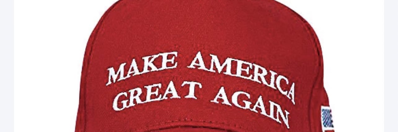 Conservlady1933 🇺🇸🇮🇹 banner