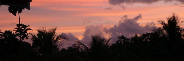 MasTropical Profile Banner