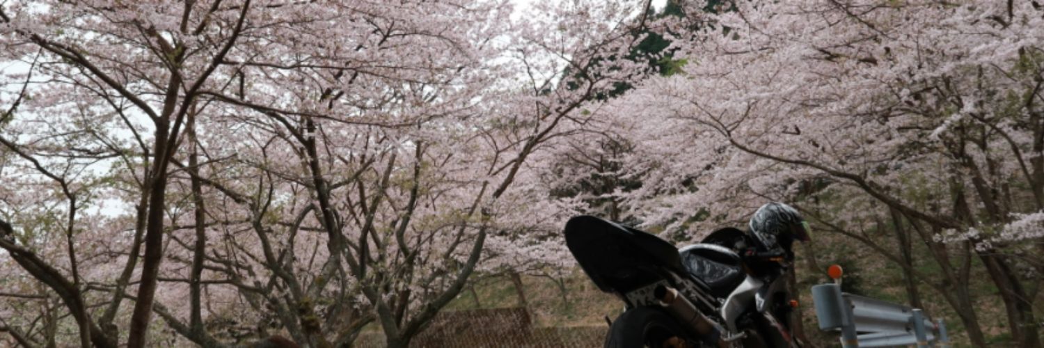 alukanako's profile banner image