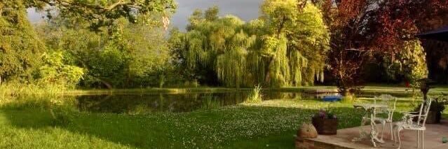 Elizabeth Jackson banner