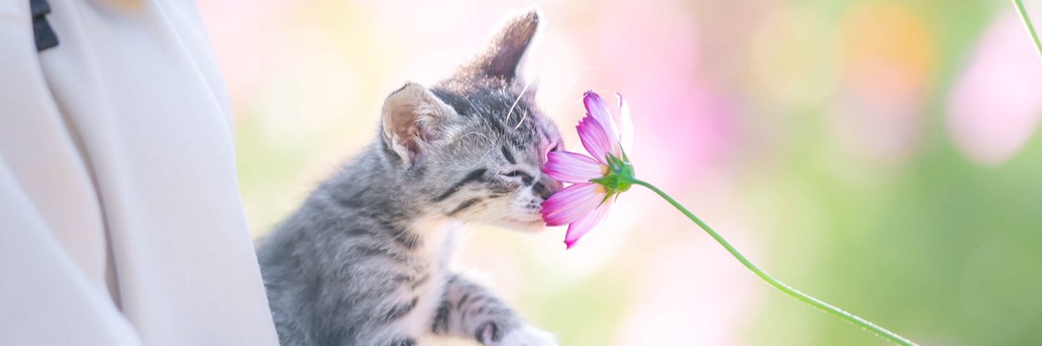 02020711's profile banner image