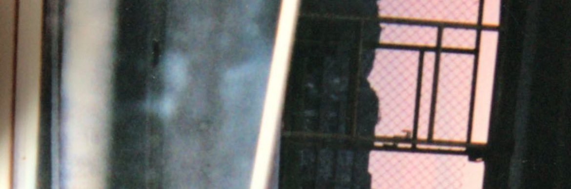 PLARU banner