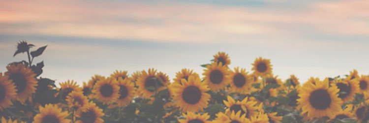 Sandstep28's profile banner image
