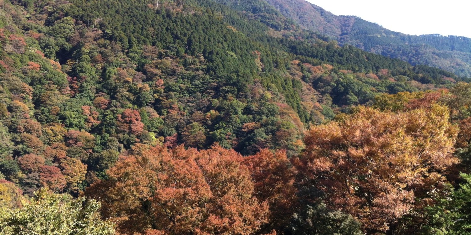 h0801056's profile banner image