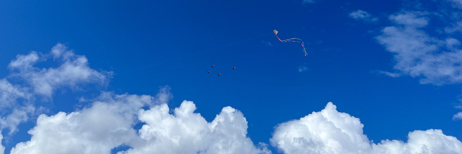 Ernesto Ongaro banner