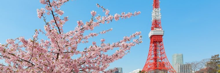 toh0777's profile banner image