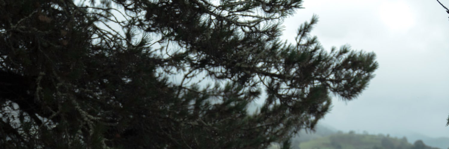 LavanDijk's profile banner image