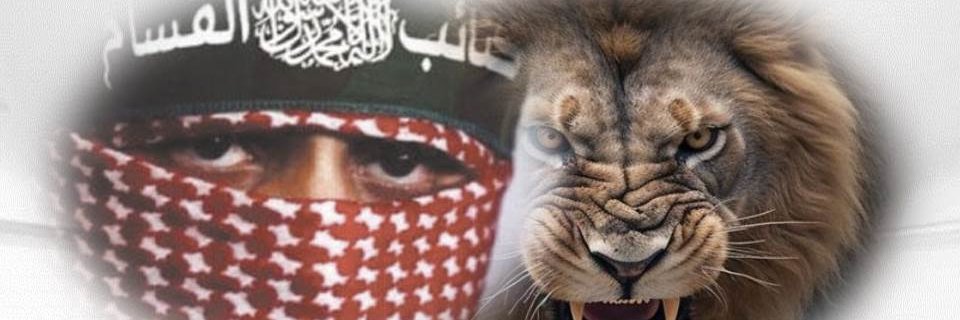 rashed74444's profile banner image