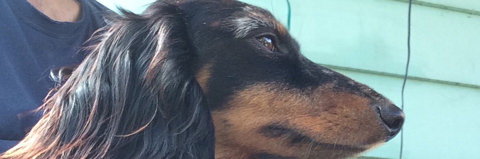 MJKloss's profile banner image