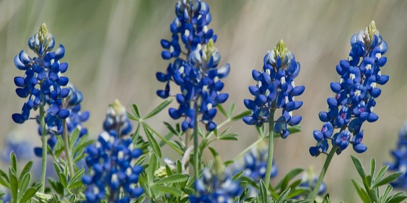amymillercfb's profile banner image