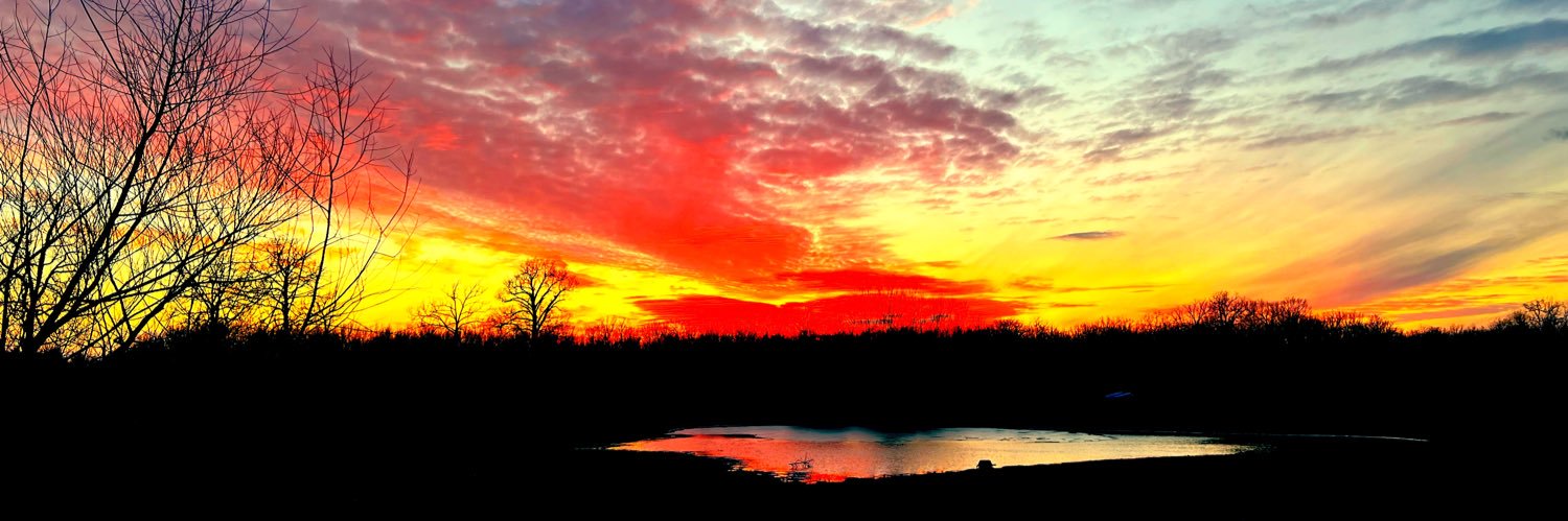 Kelly_Rhoades's profile banner image