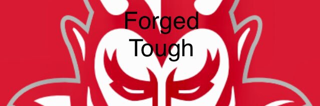 Halls High Football banner