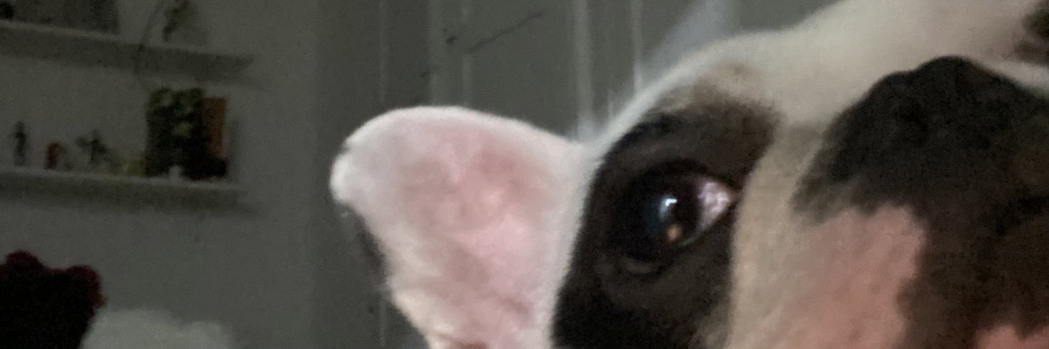beladezerto's profile banner image