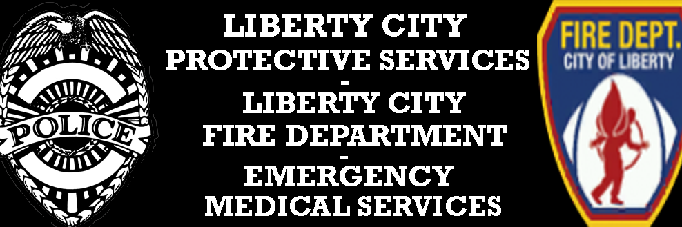 LCPS_Official banner