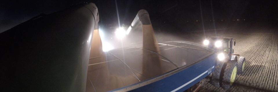 cnrhamilton's profile banner image