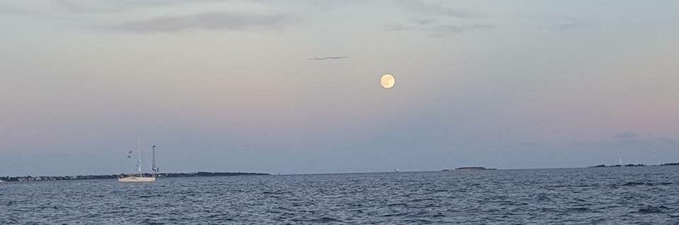 danileighj's profile banner image