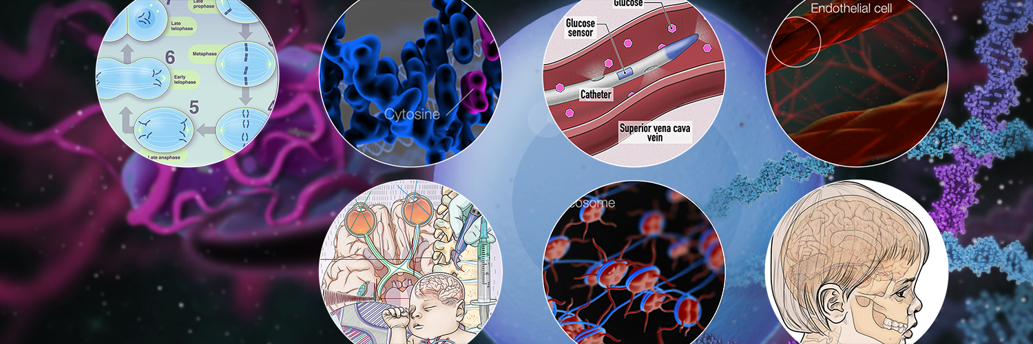 anatomysupply's profile banner image