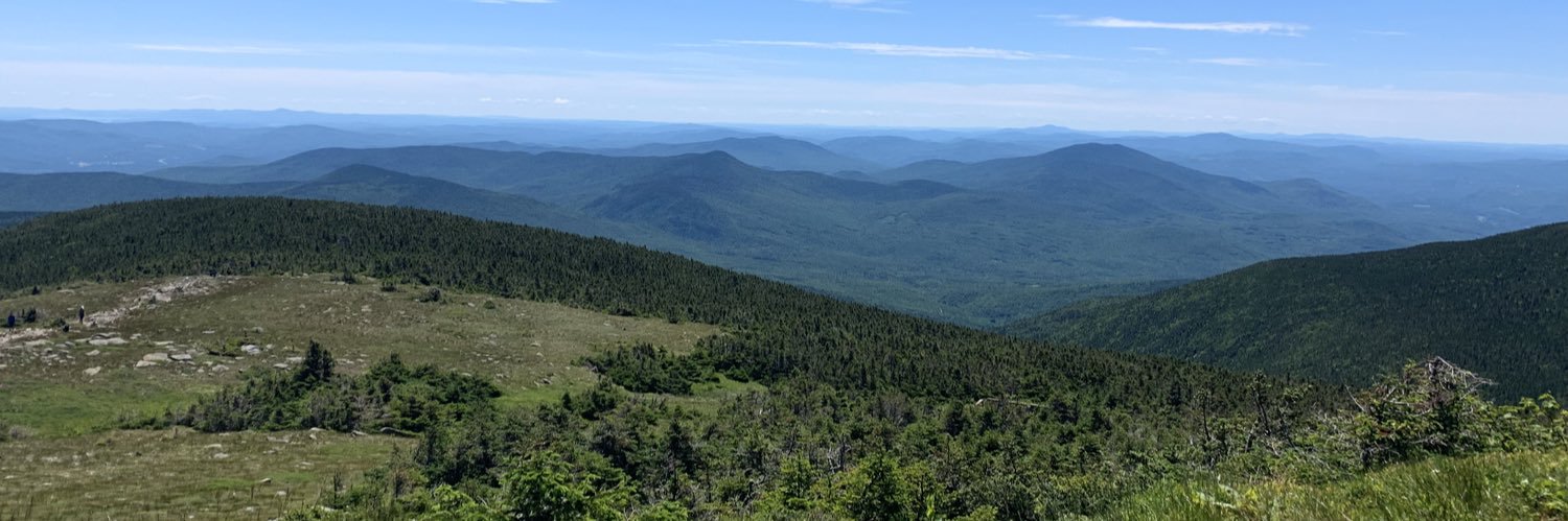 NTaylorNH's profile banner image