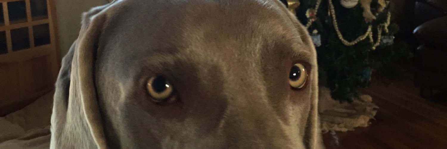 ESauber's profile banner image