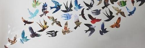 mcissao's profile banner image