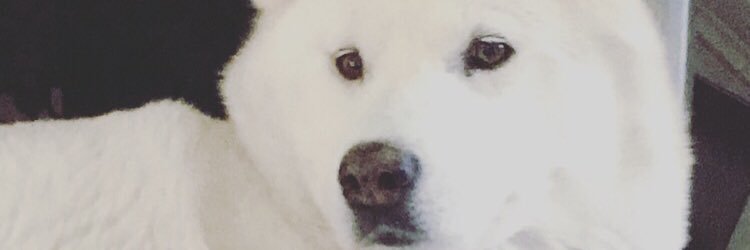 lucyvscott's profile banner image