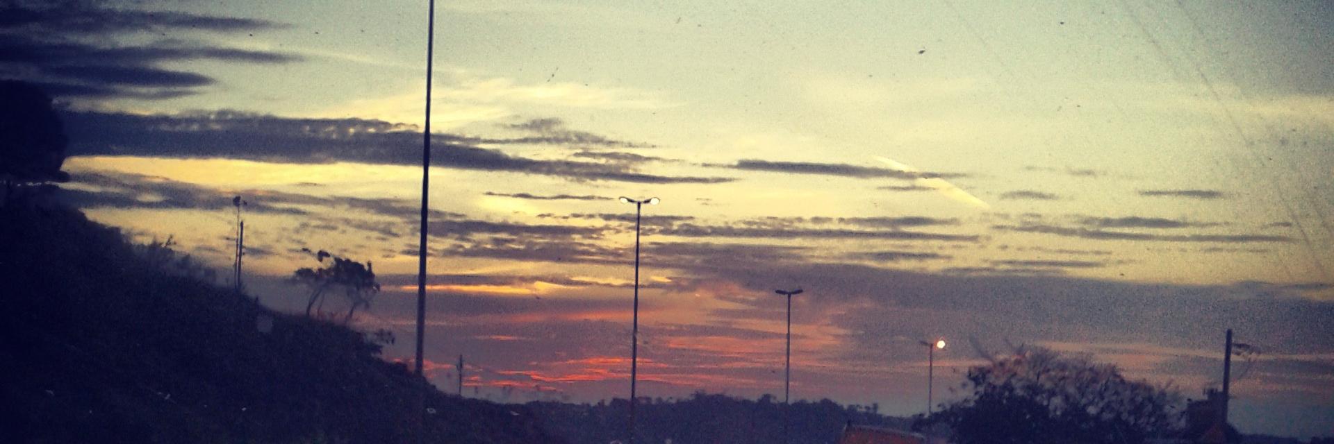 Larisalees's profile banner image