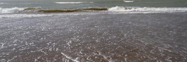 MARECAELLUM Profile Banner