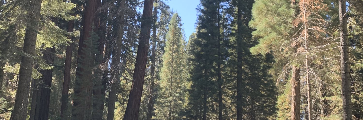 Crisxtinaaa's profile banner image