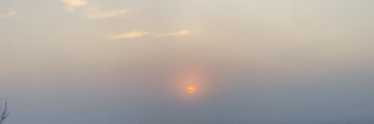 mollnewman87's profile banner image