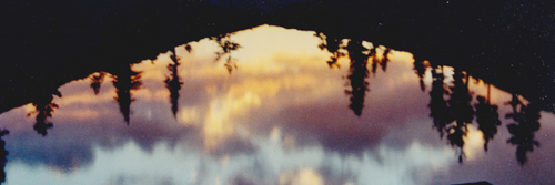 Entouragevllc's profile banner image