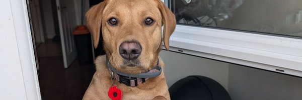 markyt204 Profile Banner