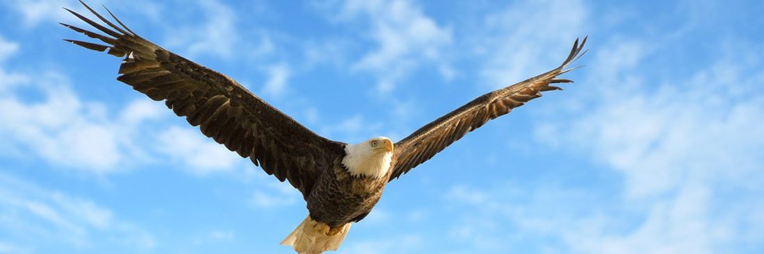 DeanBCornell's profile banner image