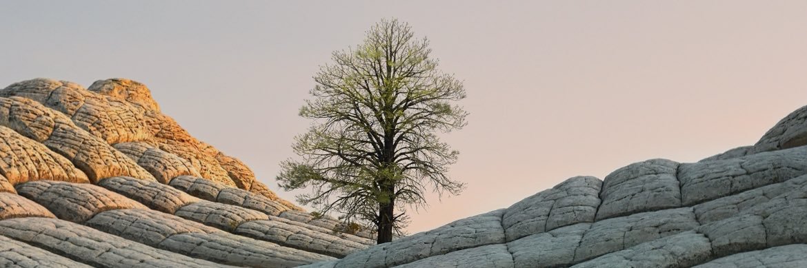 skHcCm's profile banner image