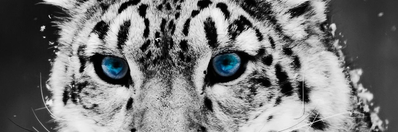 Andresterra's profile banner image