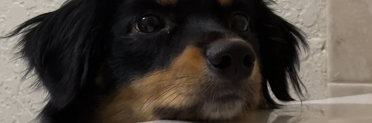 callmeval19's profile banner image