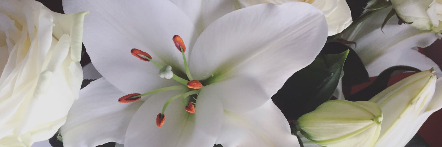 SophCollier_'s profile banner image