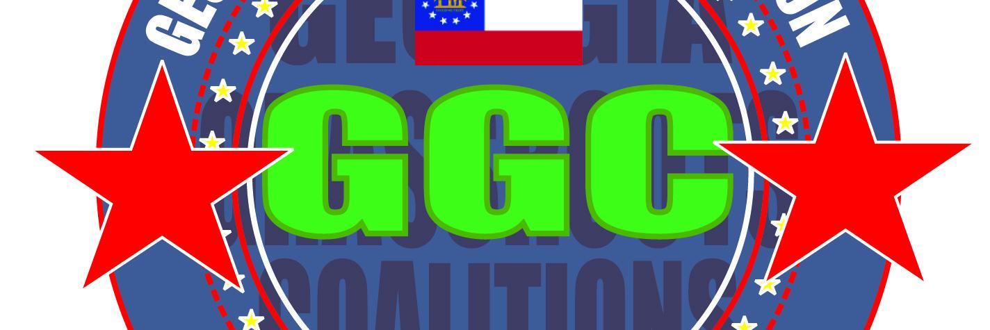 GA_Grassroots's profile banner image