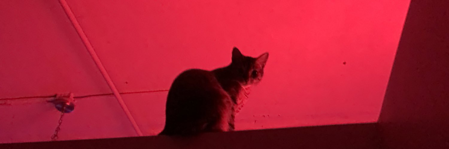 robbinspiper's profile banner image