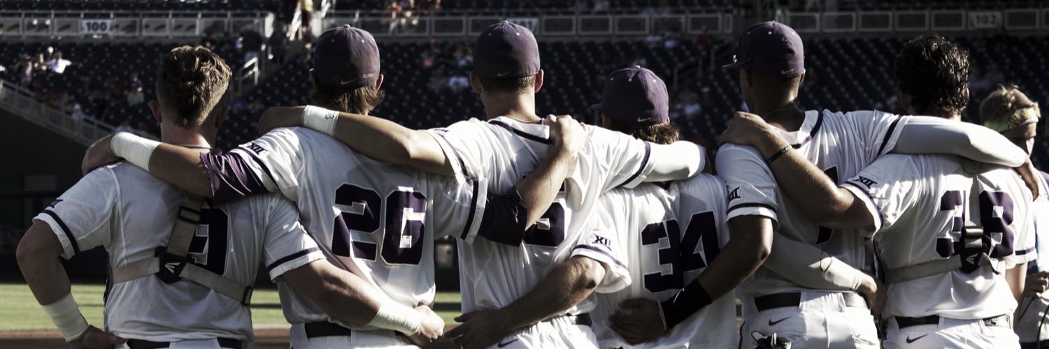 FrogVision's profile banner image