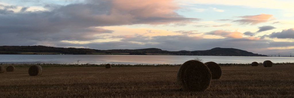 annaterje's profile banner image