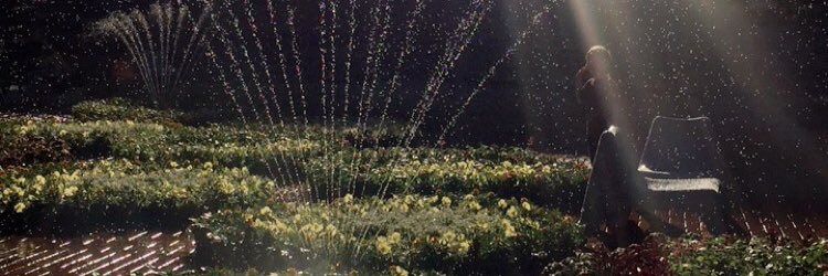 Whitney_Farms's profile banner image