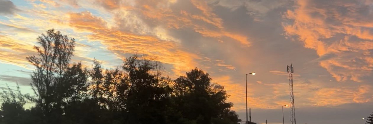 FreeManhambana's profile banner image