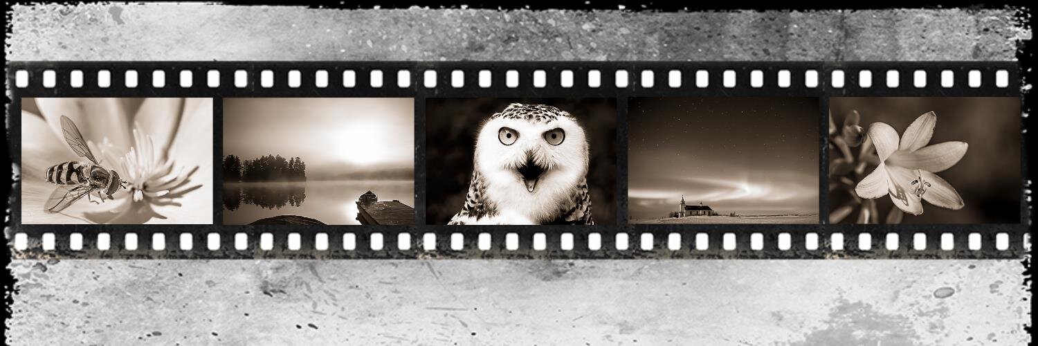CdnPhotogGuy's profile banner image