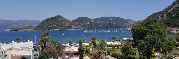 thewill63 Profile Banner