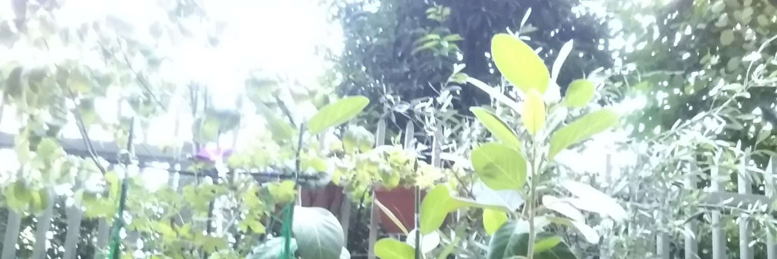 GK_Owner's profile banner image