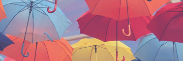 Nora Bird banner